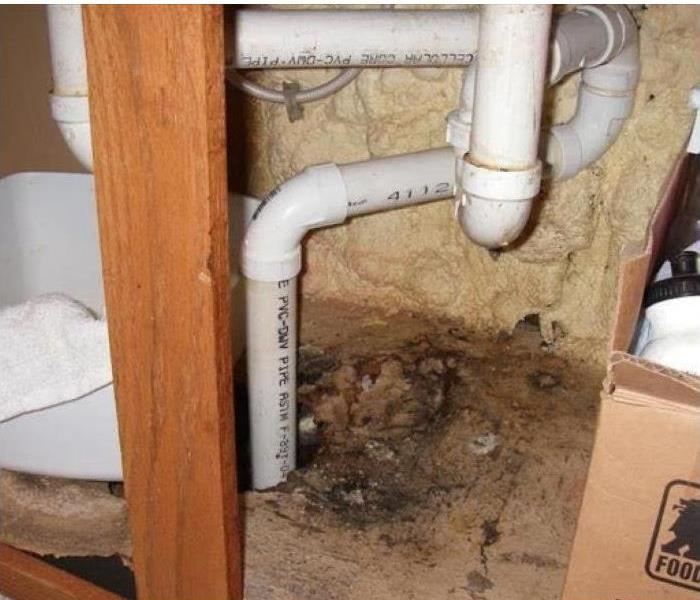 Leaking pipe under sink