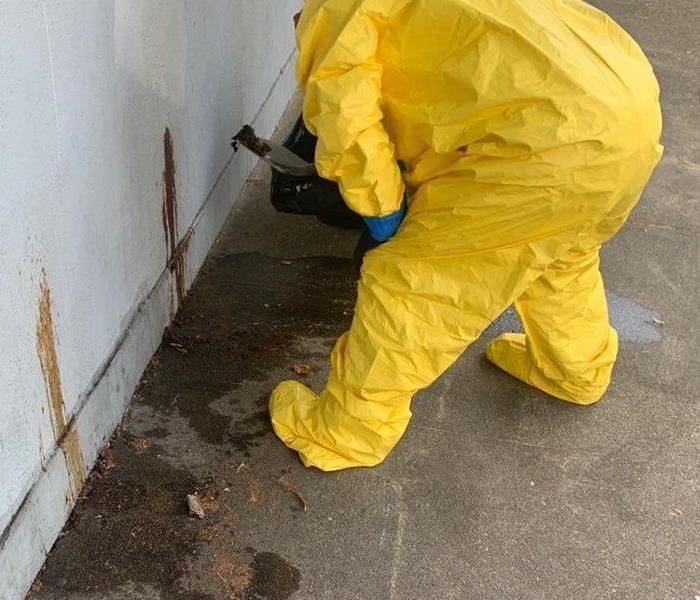 Crew cleaning feces off wall